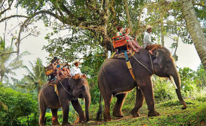 bali elephant ride tour