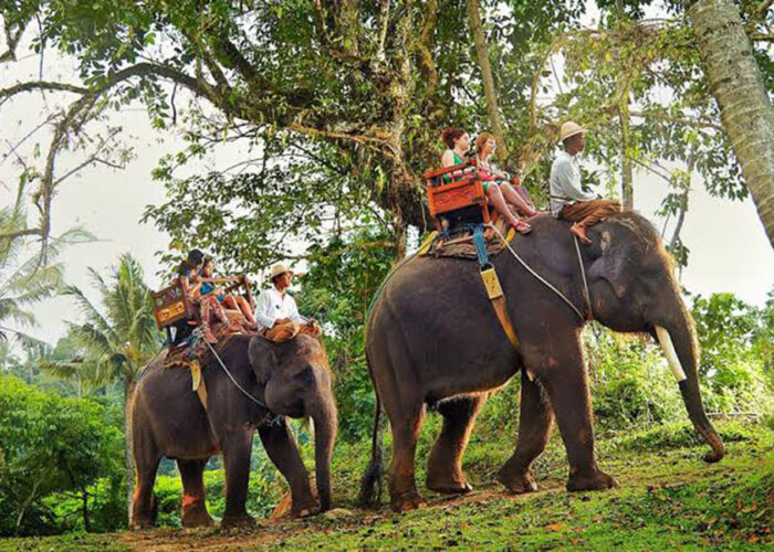 bali elephant ride tour