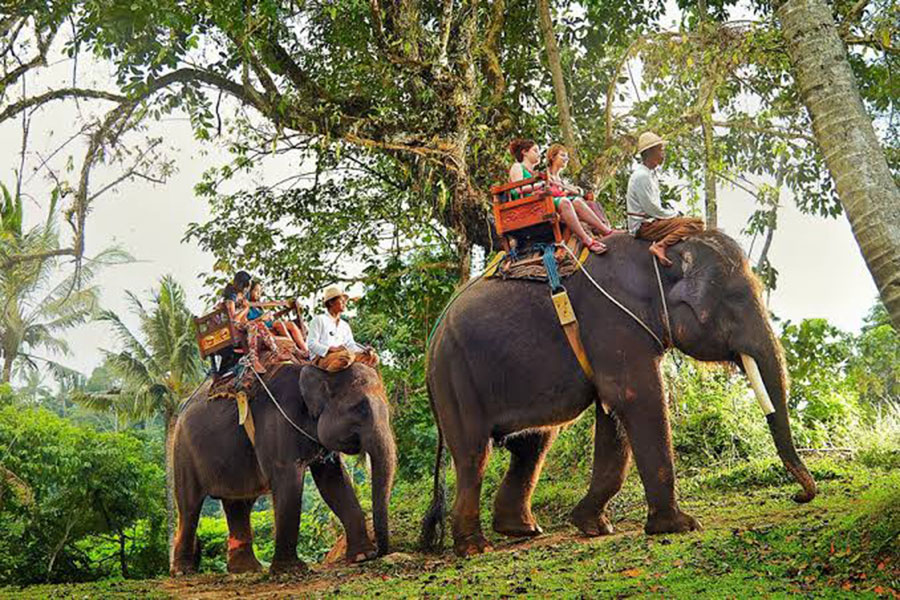 bali elephant ride tour