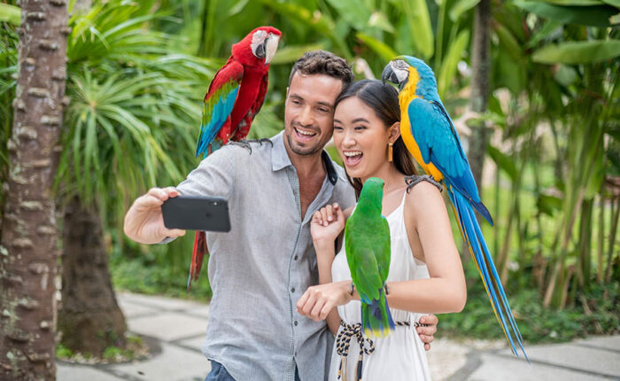 bali bird park