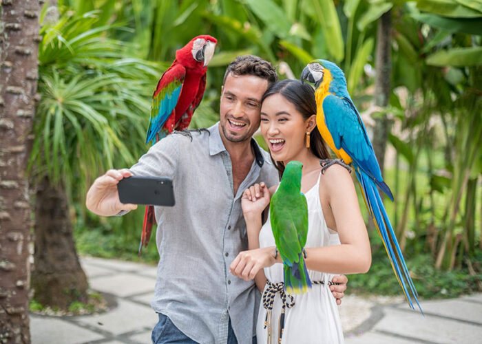 bali bird park