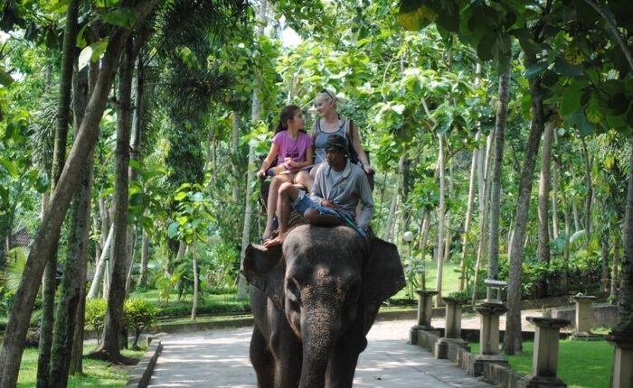 bali bakas elephant ride tour