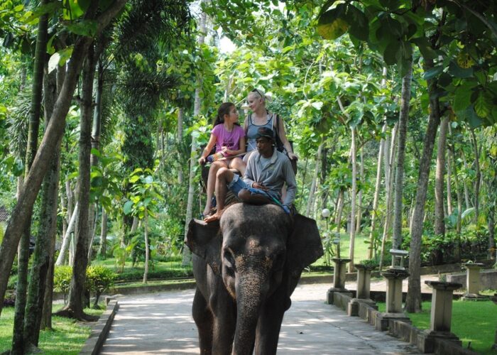 bali bakas elephant ride tour