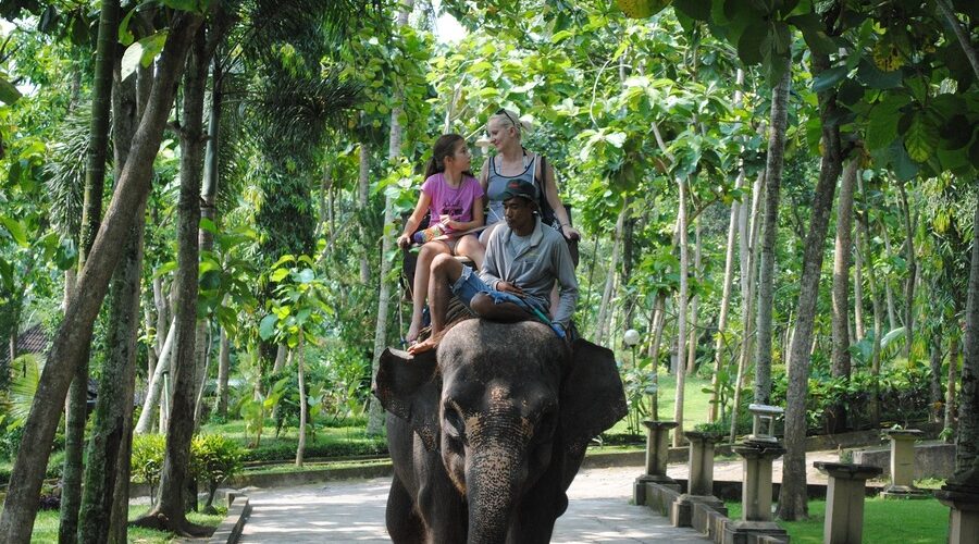 bali bakas elephant ride tour