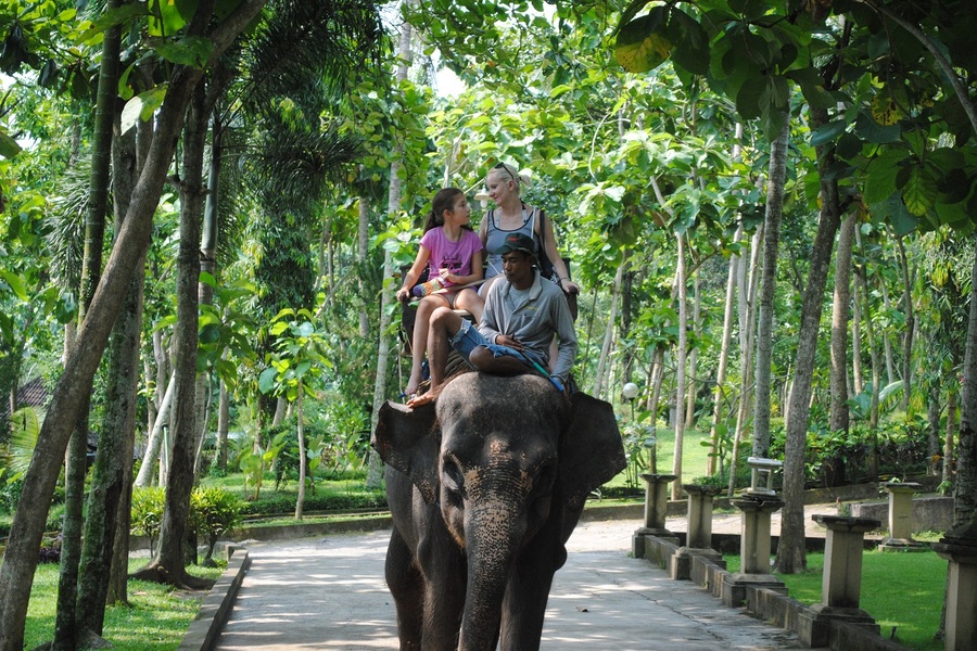 bali bakas elephant ride tour, bali elephant ride tour