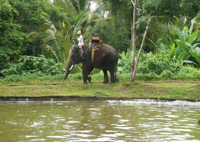 bali elephant camp tour