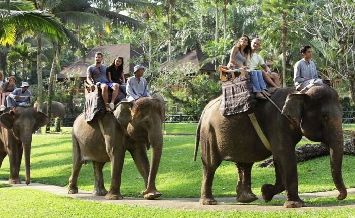 bali elephant safari ride tour