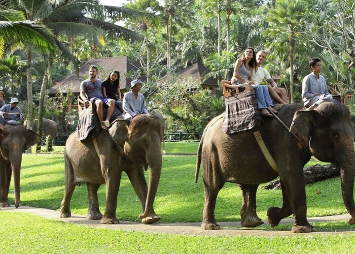 bali elephant safari ride tour