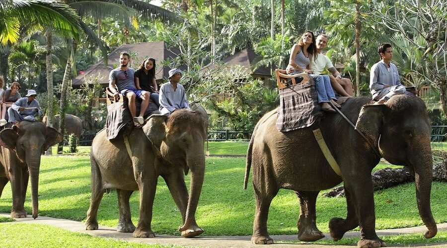 bali elephant safari ride tour