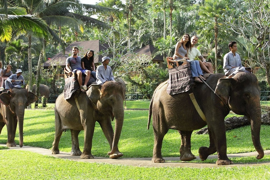 bali elephant safari ride tour, bali elephant ride tour