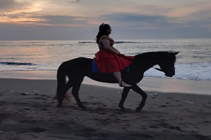 bali horse riding tour