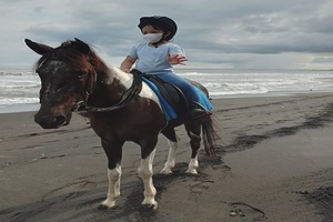 bali horse riding tour