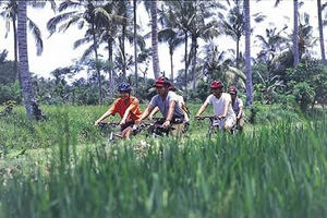 bali jatiluwih rice paddy cycling tour, bali cycling tour