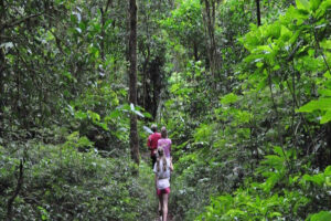 bali jungle trekking tour, bali trekking tour