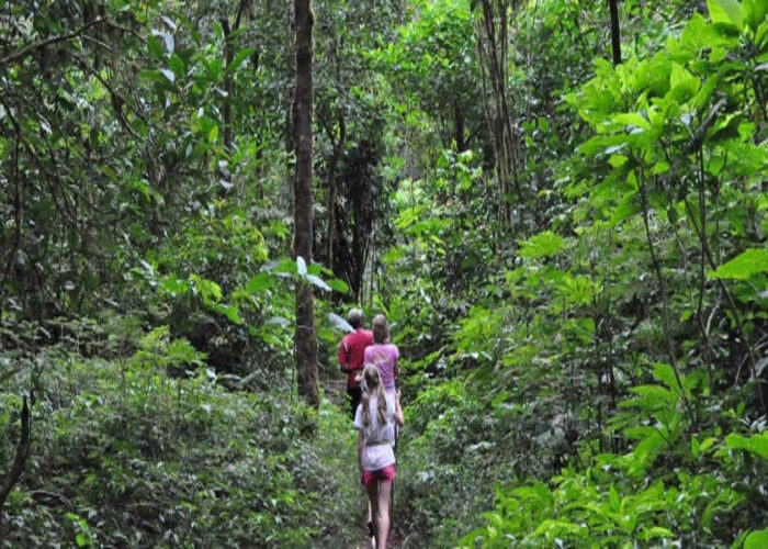 bali jungle trekking tour