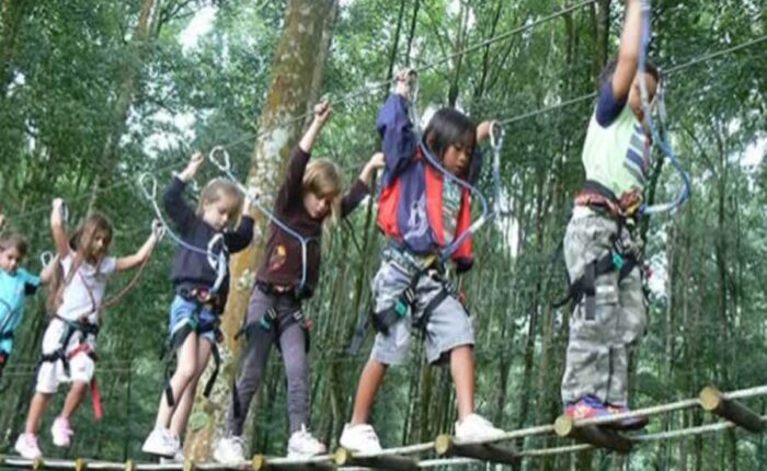 bali treetop adventure park tour, bali activities tour packages