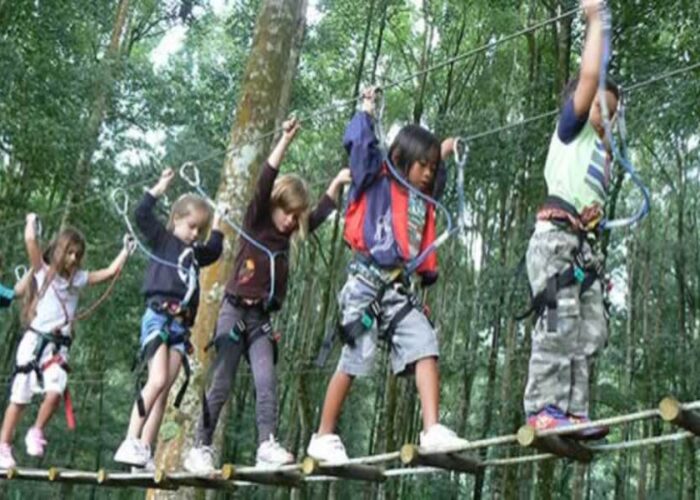 bali treetop adventure park tour, bali activities tour packages