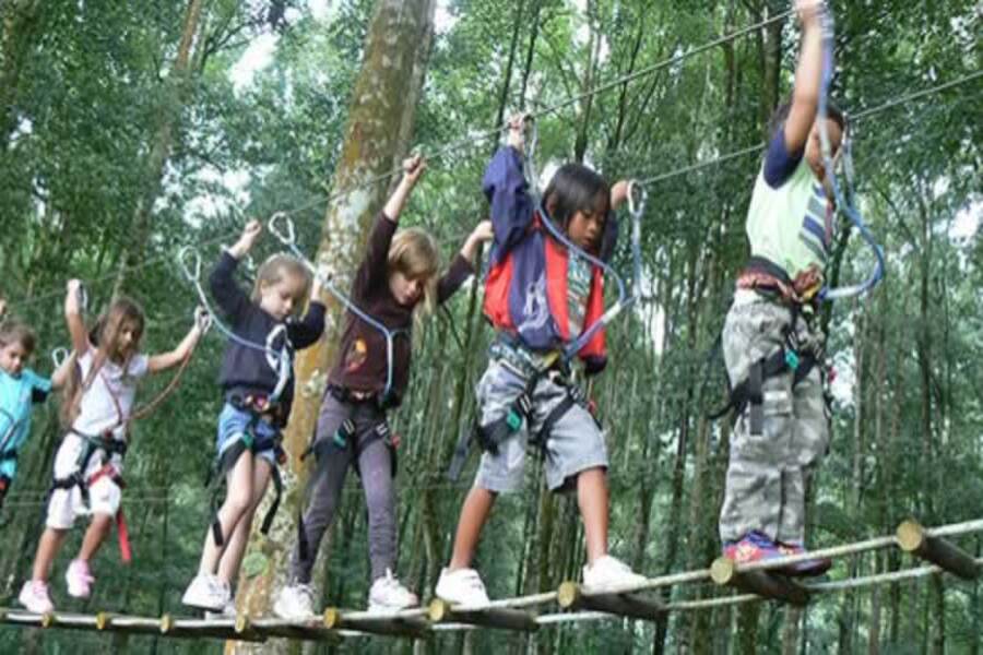 bali treetop adventure park tour, bali activities tour packages