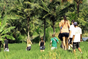 bali village trekking tour, bali trekking tour