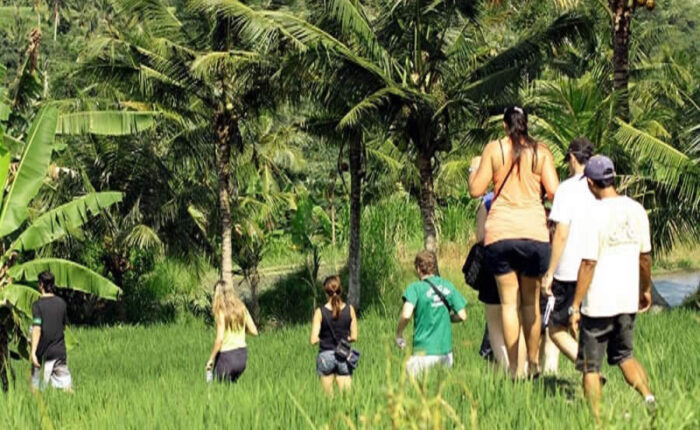 bali village trekking tour