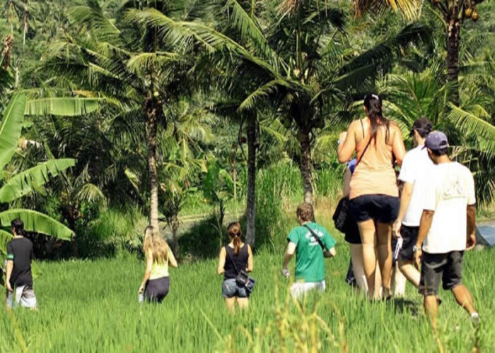 bali village trekking tour