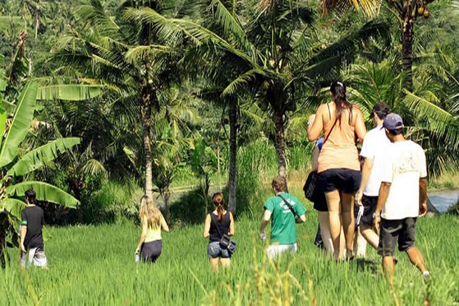 bali village trekking tour, bali trekking tour