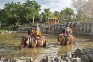 bali zoo elephant ride tour, bali elephant ride tour