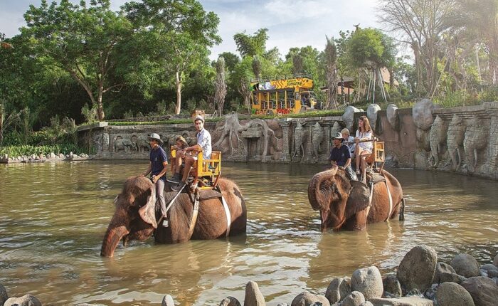 bali zoo elephant ride tour