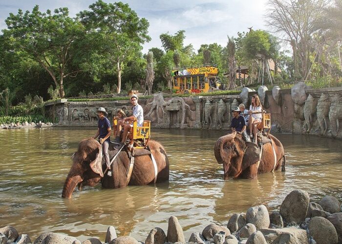 bali zoo elephant ride tour