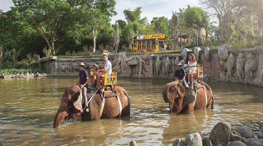 bali zoo elephant ride tour