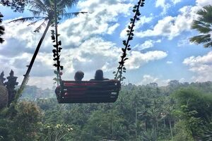 bali romantic tandem swing, desa swing