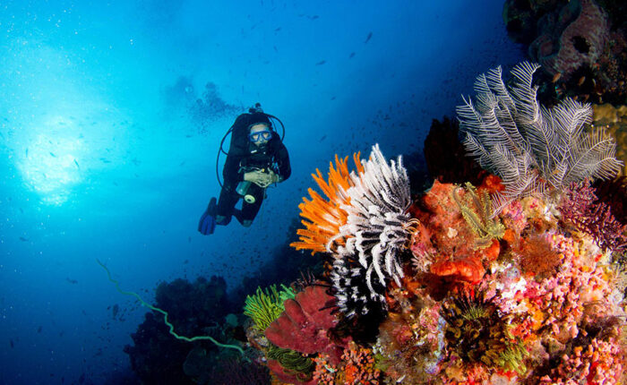 bali diving tour