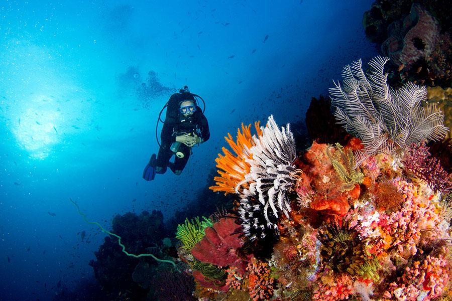 bali diving tour