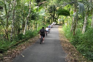 bali kintamani cycling tour, bali cycling tour