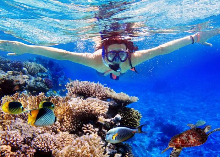 menjangan snorkeling