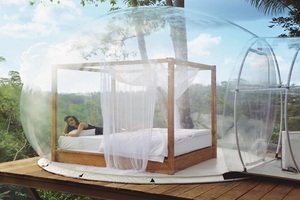 bali jungle bubble, pic heaven swing