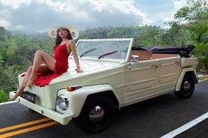 bali volkswagen, pic heaven swing