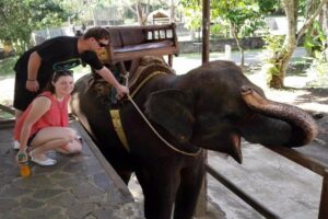 the adventure short treck 30 minutes, bali elephant camp tour