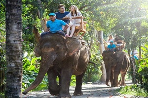 bali zoo elephant ride tour, bali zoo park tour