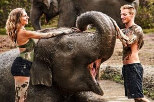 bali zoo elephant mud fun tour, bali zoo park tour