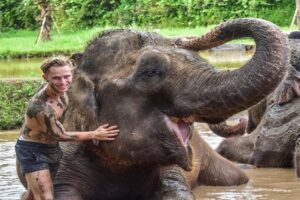 bali zoo elephant mud fun tour, bali zoo park tour