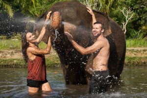 bali zoo elephant mud fun tour, bali zoo park tour