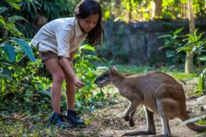 feed the animal, bali zoo breakfast with orangutan tour