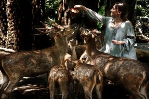 feed the animal, bali night at the zoo tour