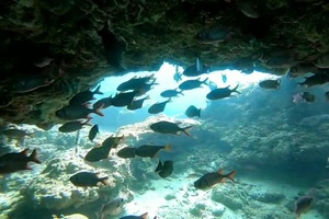 bali snorkeling labuhan amuk tour, bali snorkeling tour