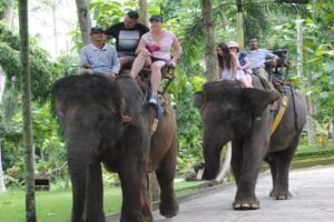 short ride 15 minutes elephant ride, bali bakas elephant ride tour