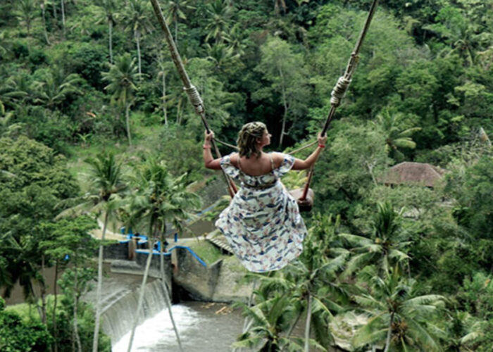 bali swing tour