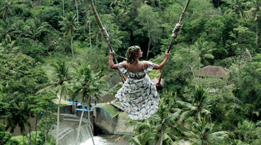 bali swing tour