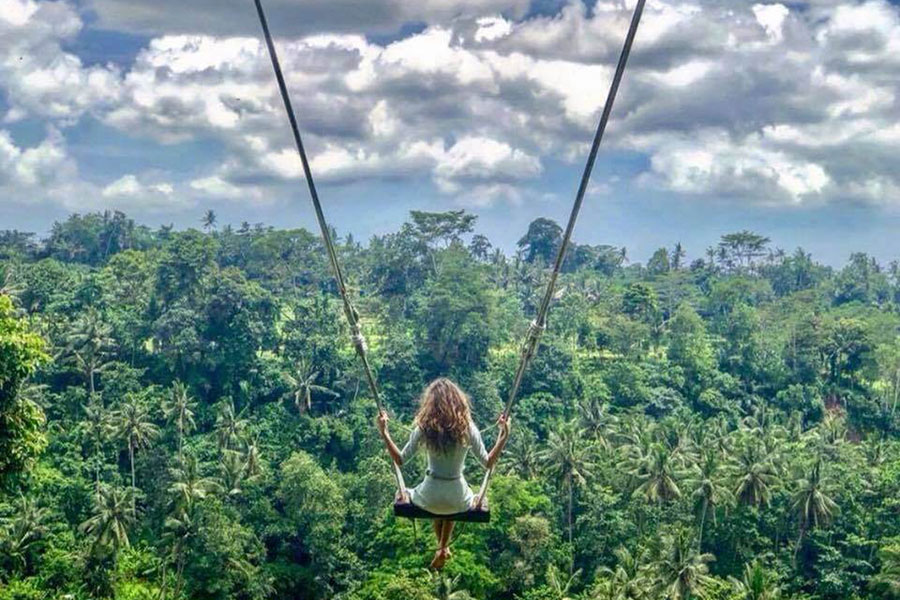 bali swing tour